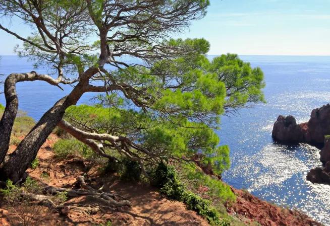 Département des Alpes-Maritimes