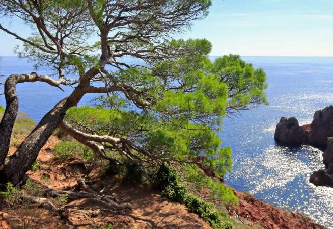 Département des Alpes-Maritimes