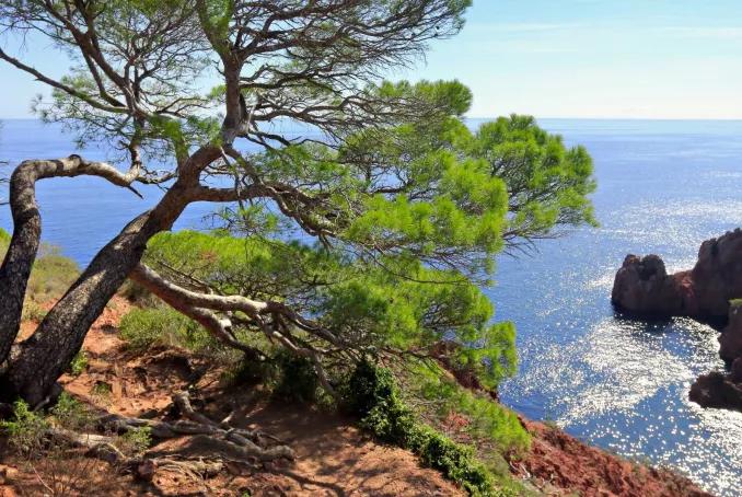 Département des Alpes-Maritimes