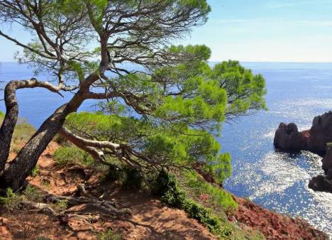 Département des Alpes-Maritimes